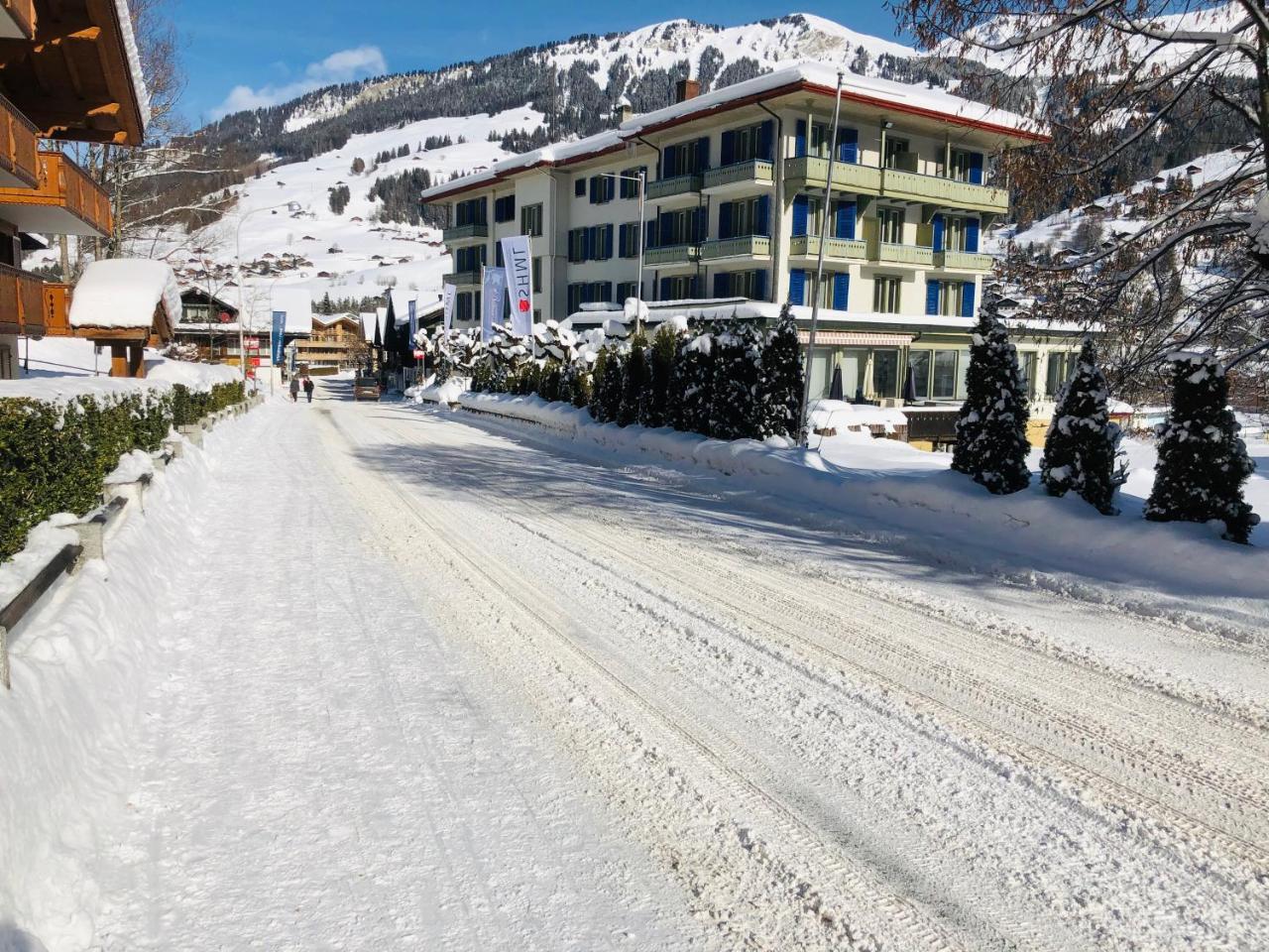 Parkhotel Bellevue Lenk im Simmental Exterior foto